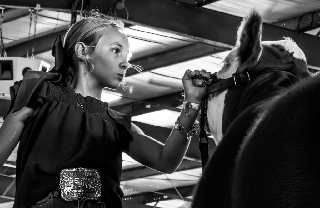 Young girl indoors holding a horse’s reins under a ceiling with metal beams and lights